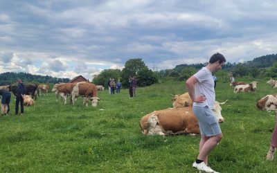 Patentreffen am 16.05.2026